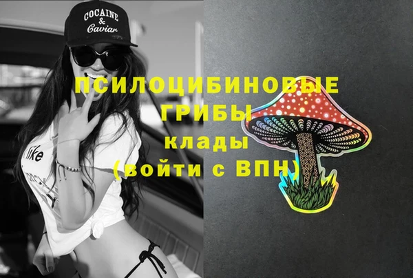 mix Зеленокумск