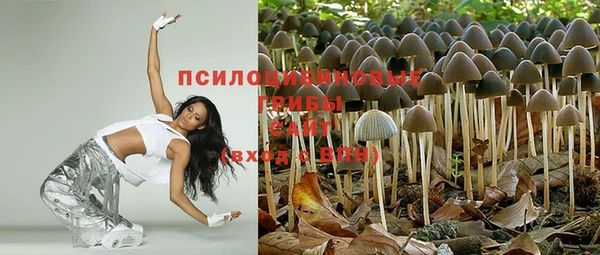 амф Зерноград