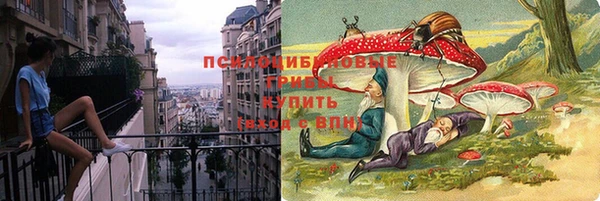 амф Зерноград