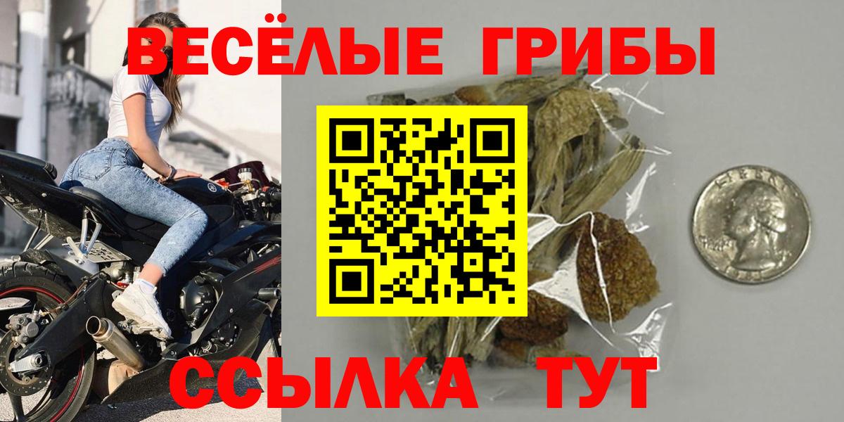 Галлюциногенные грибы Cubensis  Псилоцибиновые грибы MAGIC MUSHROOMS  Вход с VPN  Ишимбай 